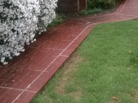Blooming Front Walk Way