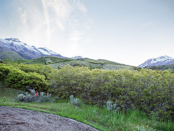 5th image of 15 E Three Falls Rdg