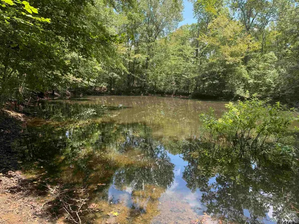 2422 Fm 2962 S, Rusk, TX 75785