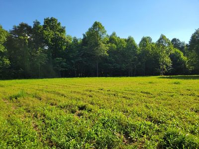 1020 Dewey Extension Rd, Lucasville, OH, 45648