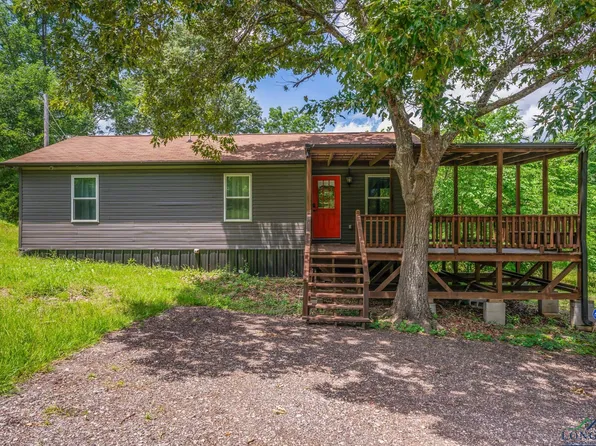 3089 County Road 121d, Overton, TX 75684