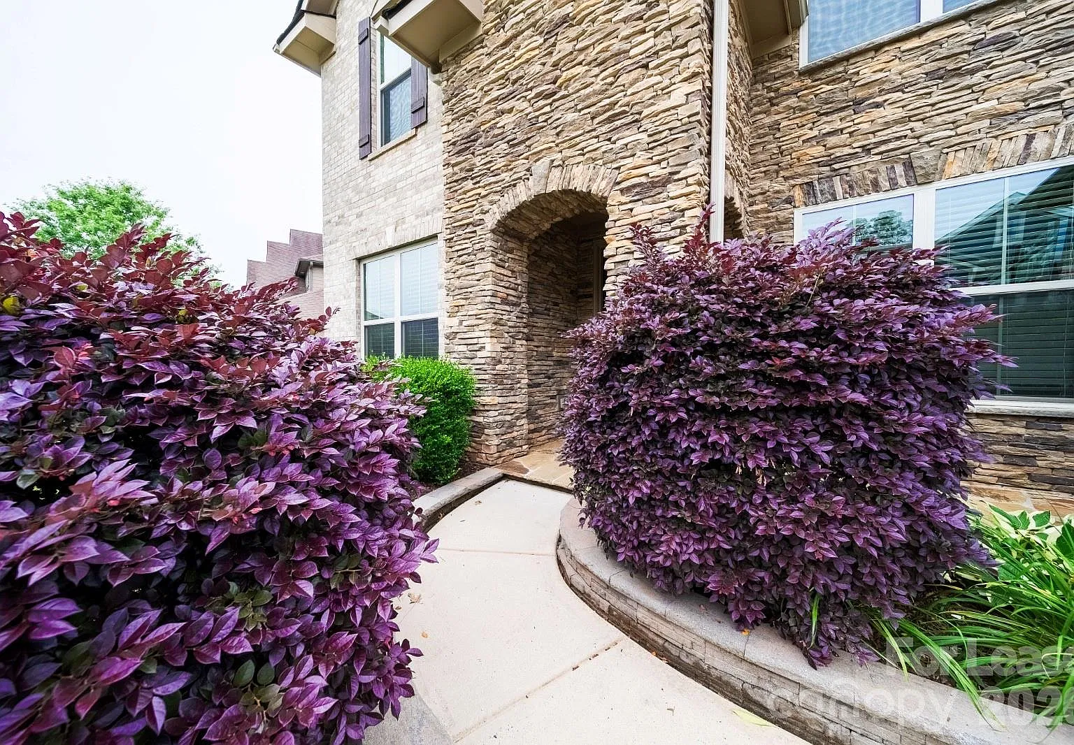 5 bed, 4.0 bath, 3841 sqft, $3,850 — Photo 3
