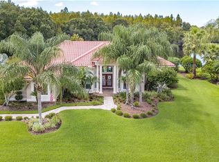 19108 Avenue Bayonnes, Lutz, FL 33558