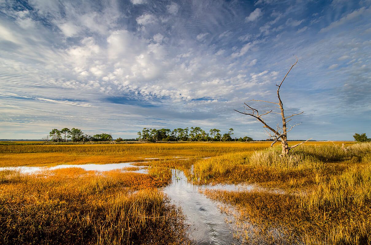 320 Moon Tide Ln, Kiawah Island, SC 29455 Zillow