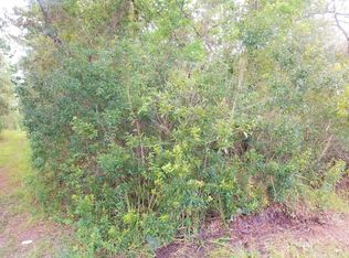 226 Pheasant Rd, Satsuma, FL 32189