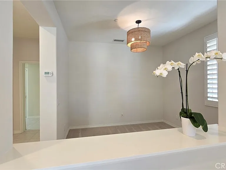 29 Carnation — Photo 12