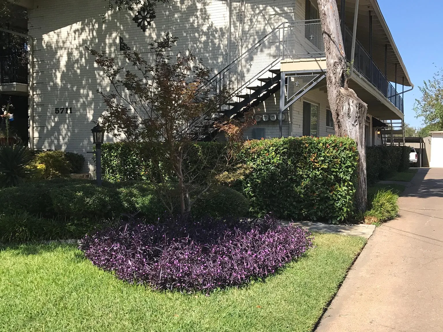 1 bed, 700 sqft, $1,650 — Photo 1