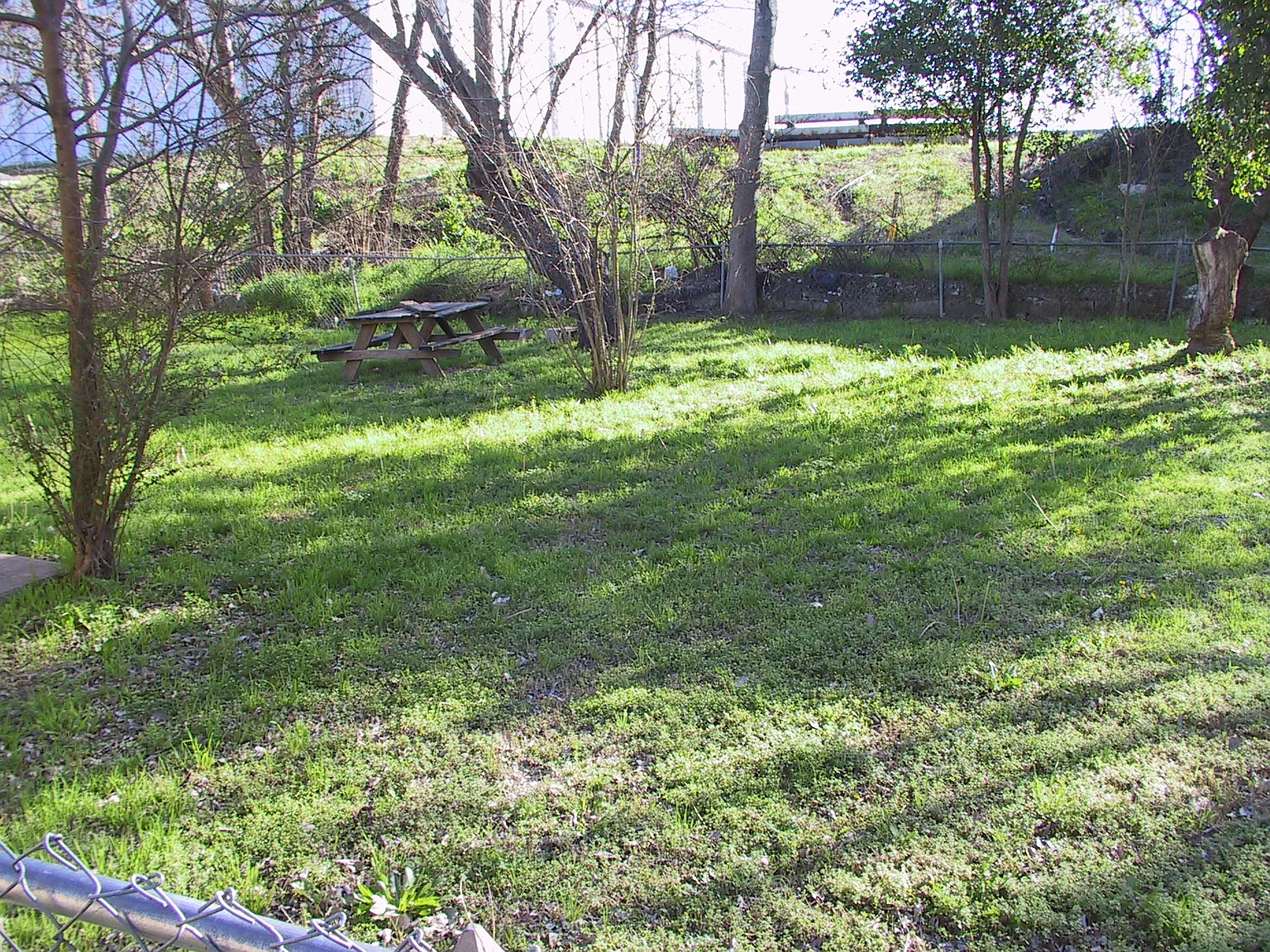 3 bed, $995 — Photo 4