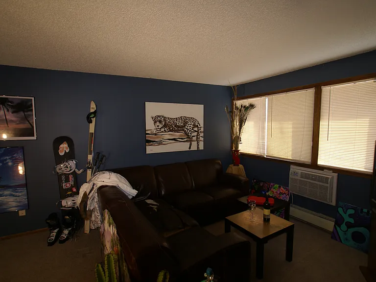 3320 Longfellow Avenue S — Photo 8