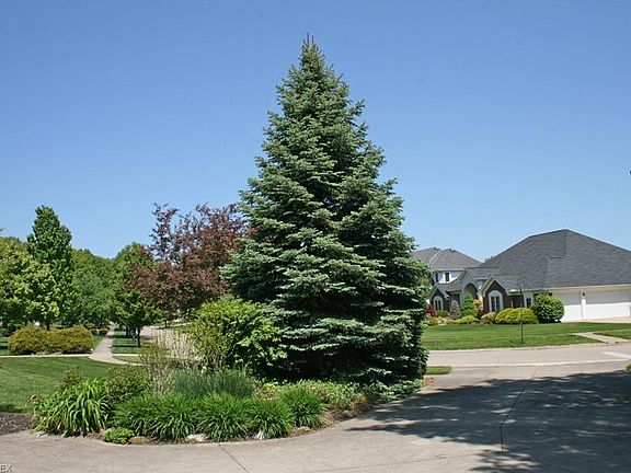 5th image of 106 Bridgeport Dr
