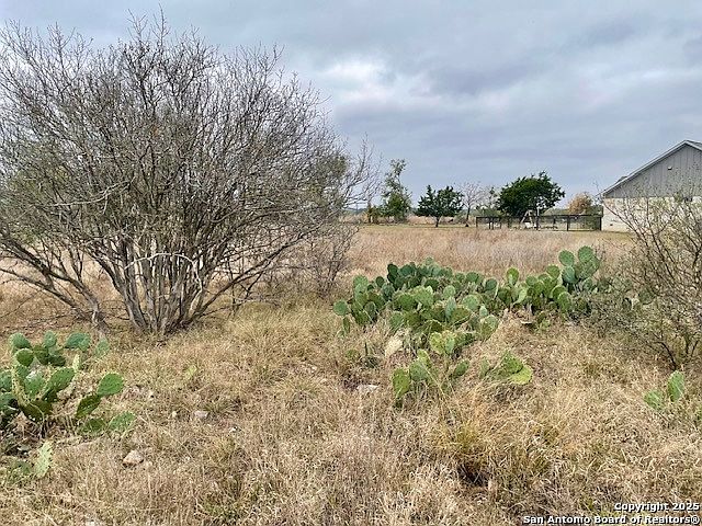 LOT 23 Brown Saddle LOT 23