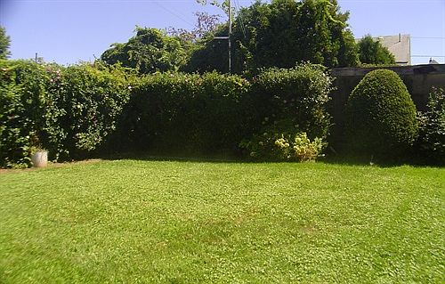 Beautiful Yard