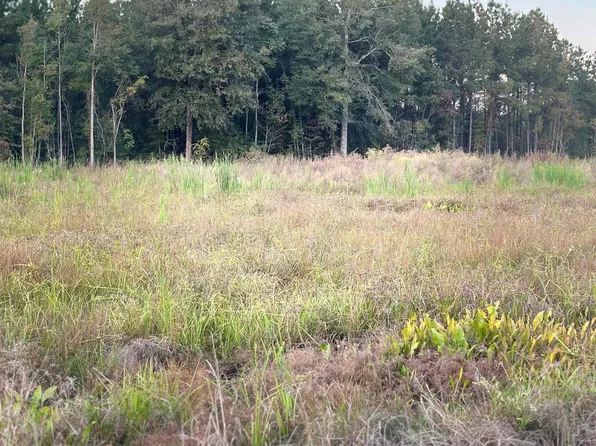 16489 Peacock Dr, Walker, LA 70785