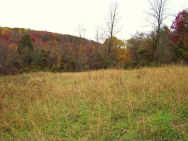 2nd image of 0 New Hope Rd