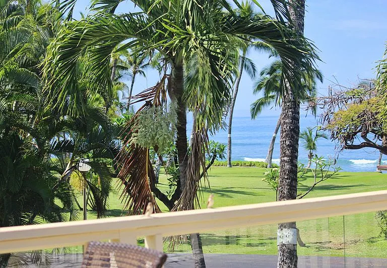 185 Pualei Dr #3 — Photo 28