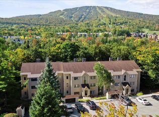 85 E Birch Rd UNIT 7, South Londonderry, VT 05155