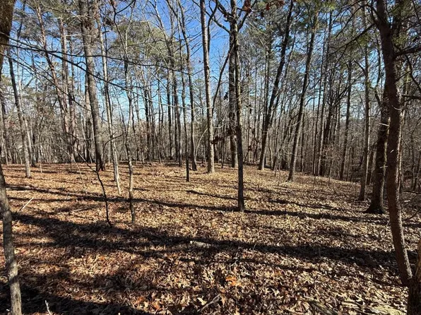 0 Grindle Bridge Rd, Dahlonega, GA 30533