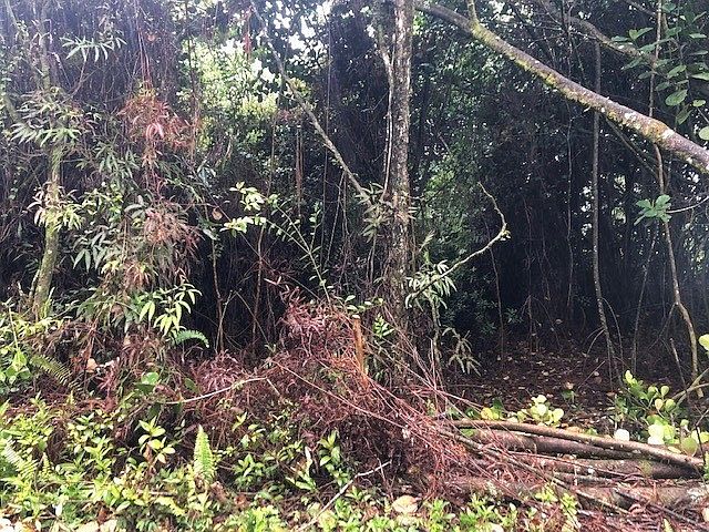 1st image of Railrd Rd Lot 364