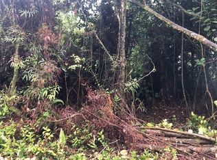 Railrd Rd LOT 364, Keaau, HI 96749