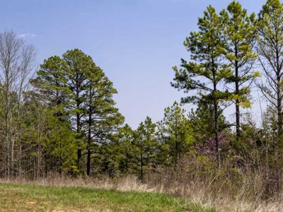 0 Blue Bird Rd LOT 35, Eminence, MO, 65466
