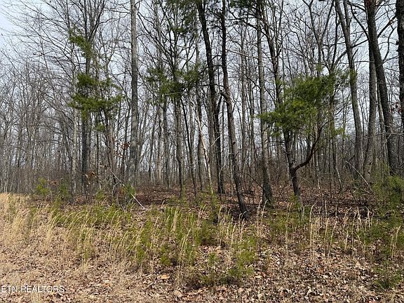 2nd image of High Pl