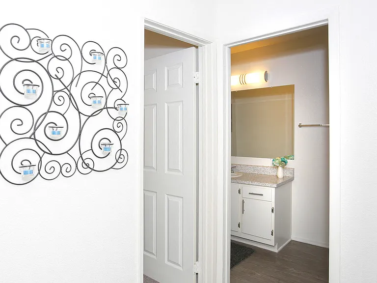 Entry to Walk In Closet and Main Bathroom