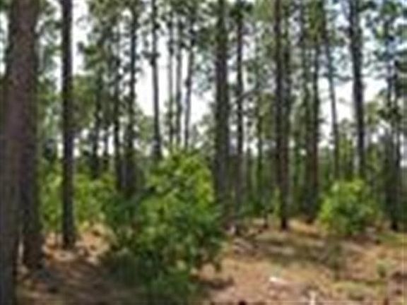4th image of 156 Ziegler Ct Lot 67