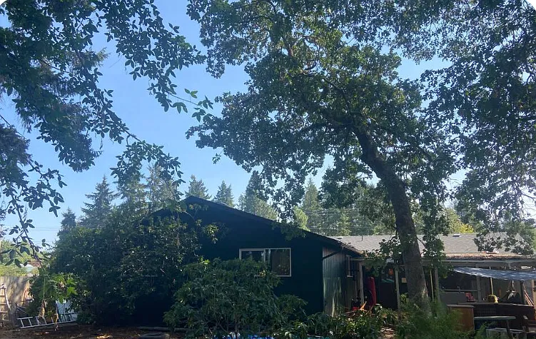 2 bed, 1300 sqft, $1,950 — Photo 2