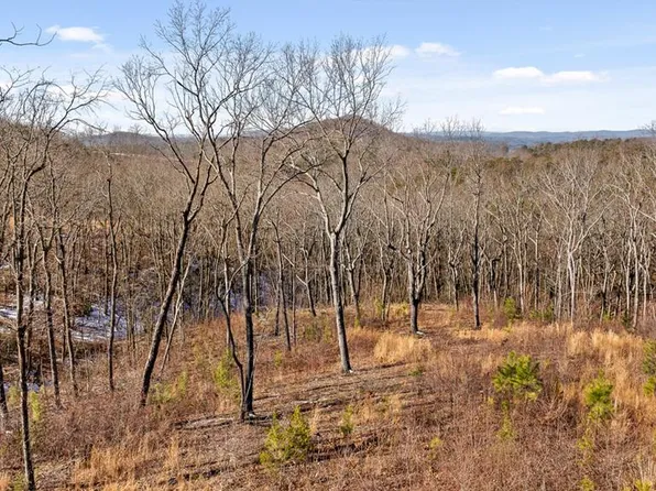 92 Timberline Trl, Talking Rock, GA 30175