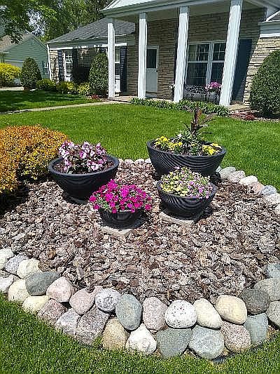 Front Yard View