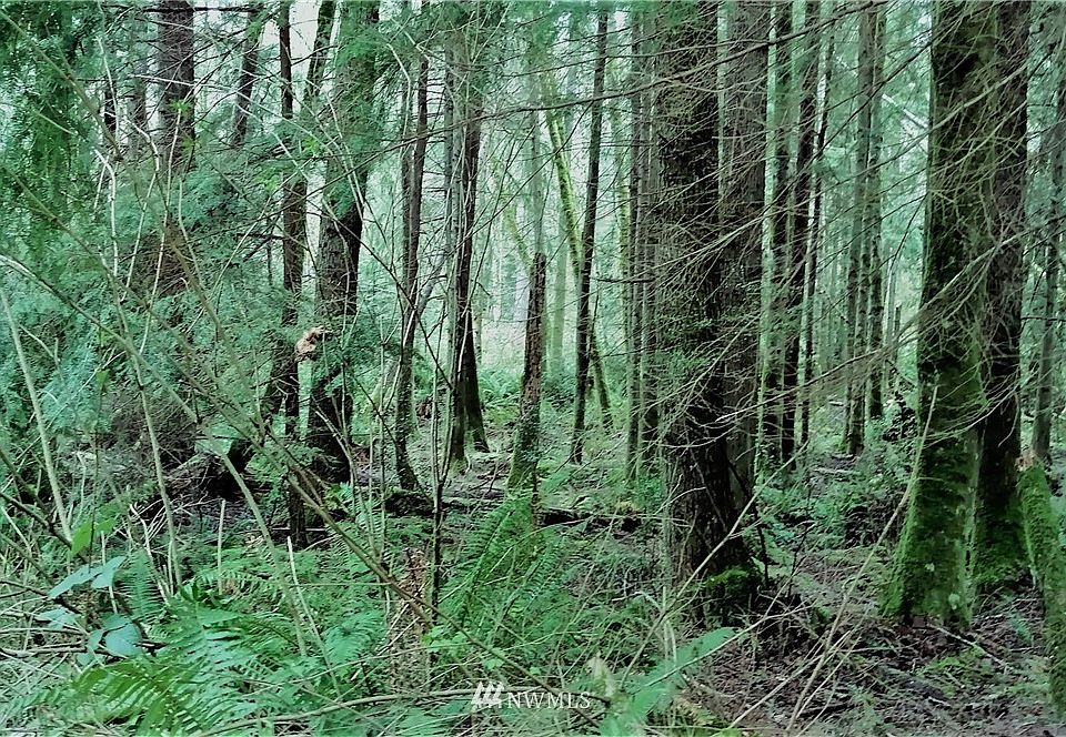 1st image of 0 SE Hoskins Hill Lane