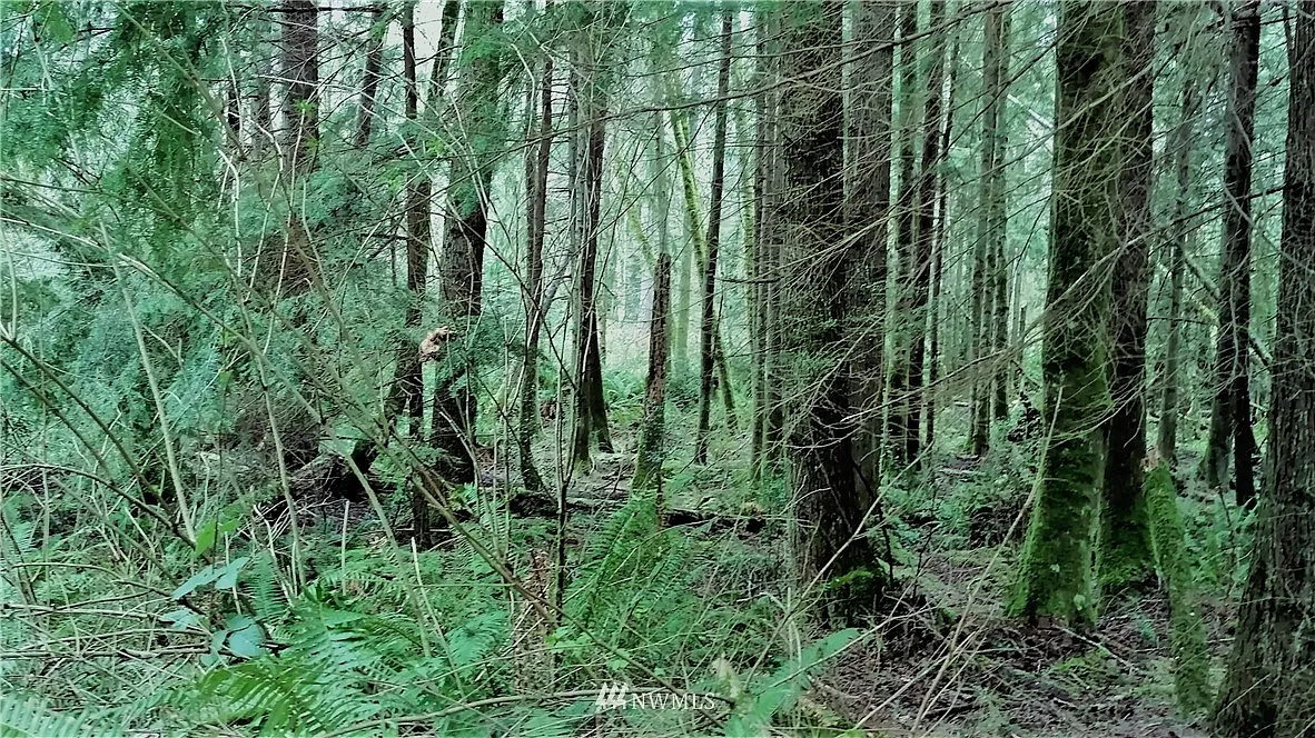 0 SE Hoskins Hill Lane photo 1