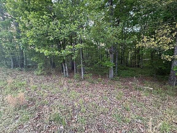 5th image of 675 Lee Mason Rd