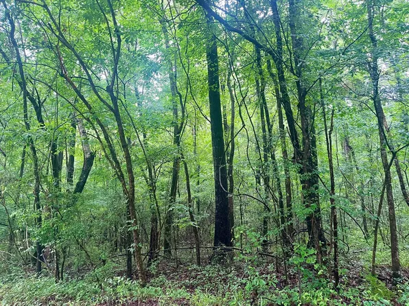 0 Independent Bottom Rd, Selma, AL 36701