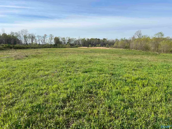 626 County Road 52, Lexington, AL 35648