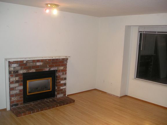 Gas Fireplace