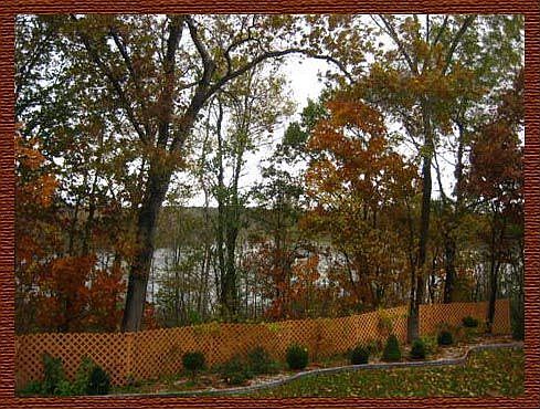 Views of the Lake