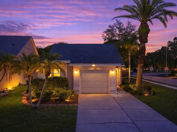 8601 Cottonway Ln, Tampa, FL 33635
