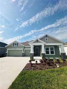 6154 Hidden Branch Dr, Apollo Beach, FL, 33572