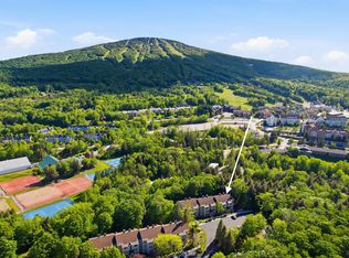 Vantage Point, Stratton, VT 05155