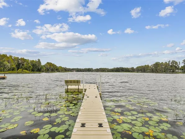 16925 Crawley Rd, Odessa, FL 33556