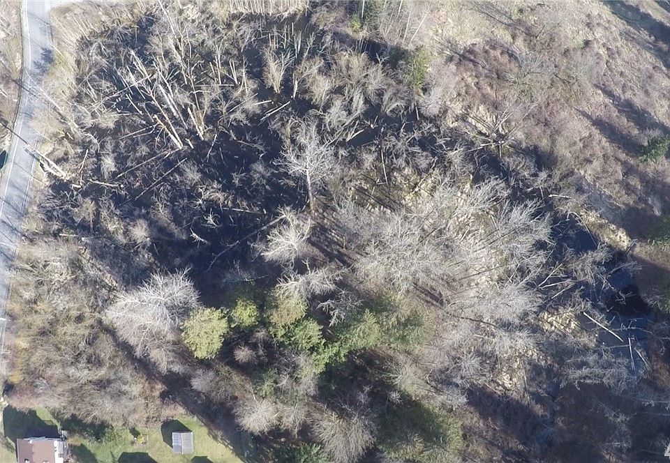 1st image of 13600 SE 282nd St