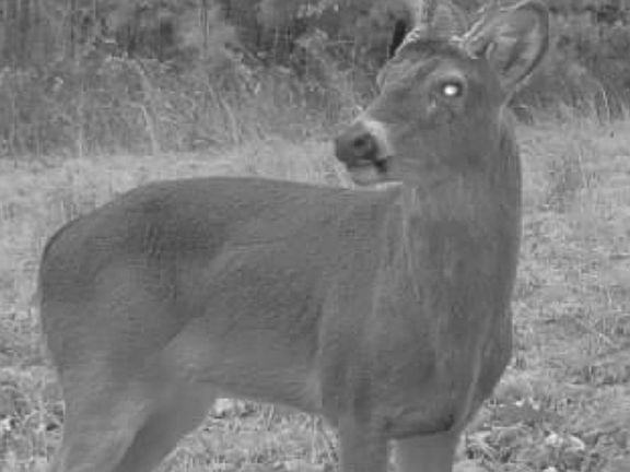 2nd image of 0 Allens Creek Rd