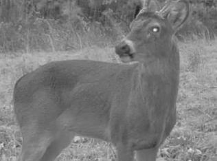 0 Allens Creek Rd, Hohenwald, TN 38462