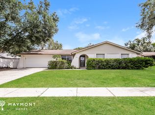 709 Hillpoint Way, Brandon, FL 33510