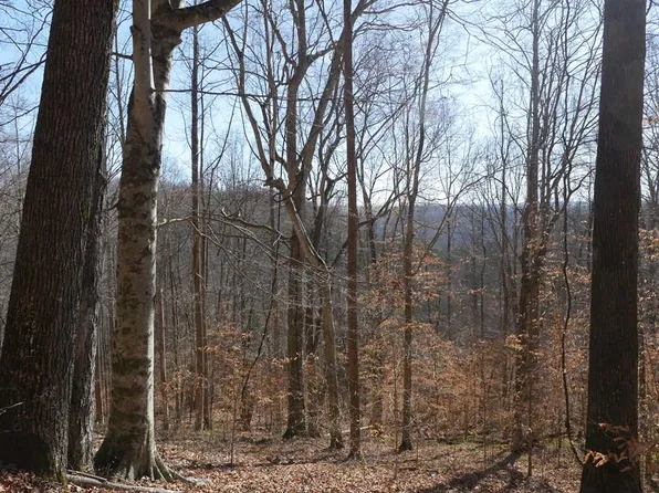 Dean Rd, Rose Hill, VA 24281