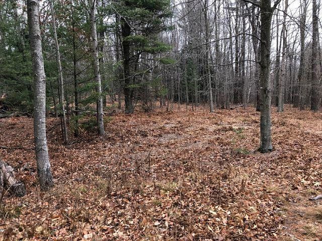 2nd image of Indian Bay Rd