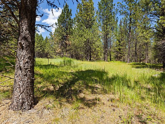 3rd image of 9295 Lost Prairie Rd