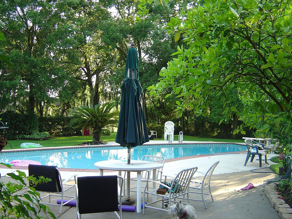 back yard