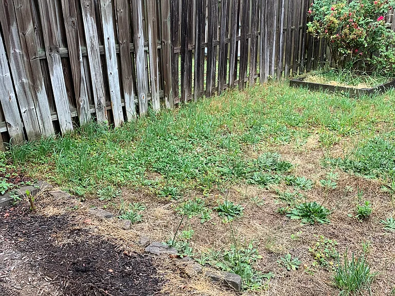 4020 Englandtown Rd — Photo 27